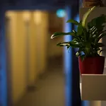 Gaestehaus Kaiserpassage- Ihr Cityhostel * קרלסרוהה