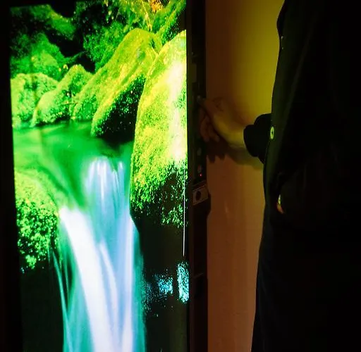 旅馆 Gaestehaus Kaiserpassage- Ihr Cityhostel 卡尔斯鲁厄